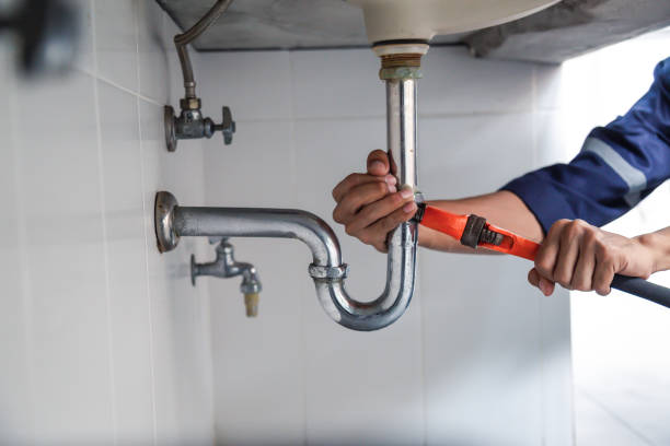 Best Septic Systems  in Rosenhayn, NJ