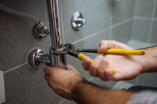 Best Water Softener Installation  in Rosenhayn, NJ